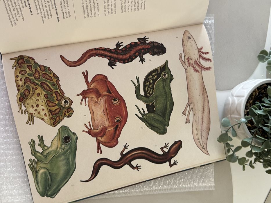 Книга Музеят на животните