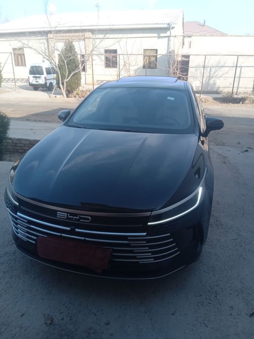 Bevaydi.chozor.gibrit 55.