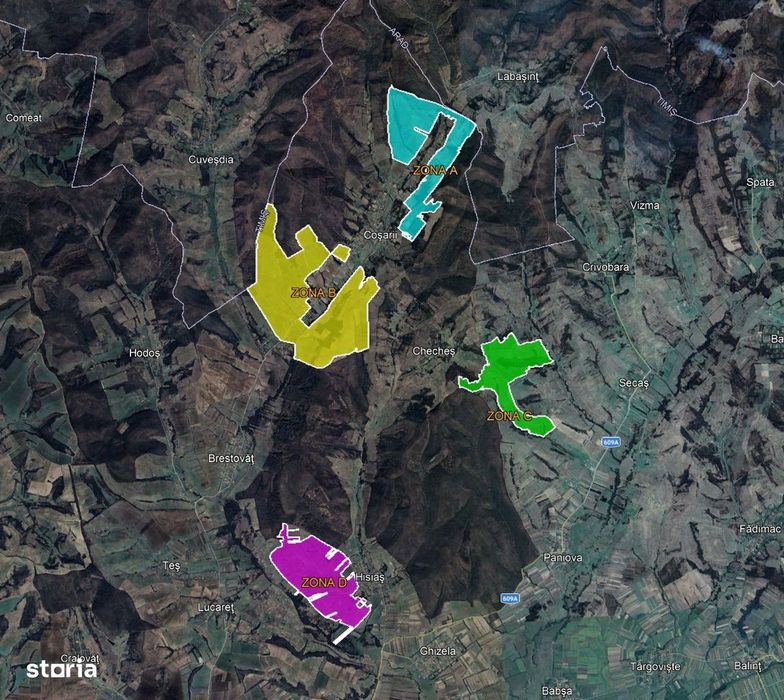 De vanzare plantatie de alun, situata in judetele Arad si Timis