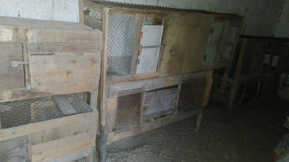 Клеткалар сатылады