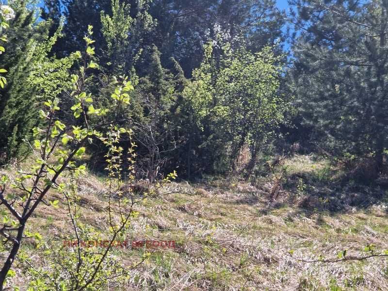 Продава се Земеделски имот в с. Писарово, Област Плевен -  кв.м за 0 €/дка - Снимка #5