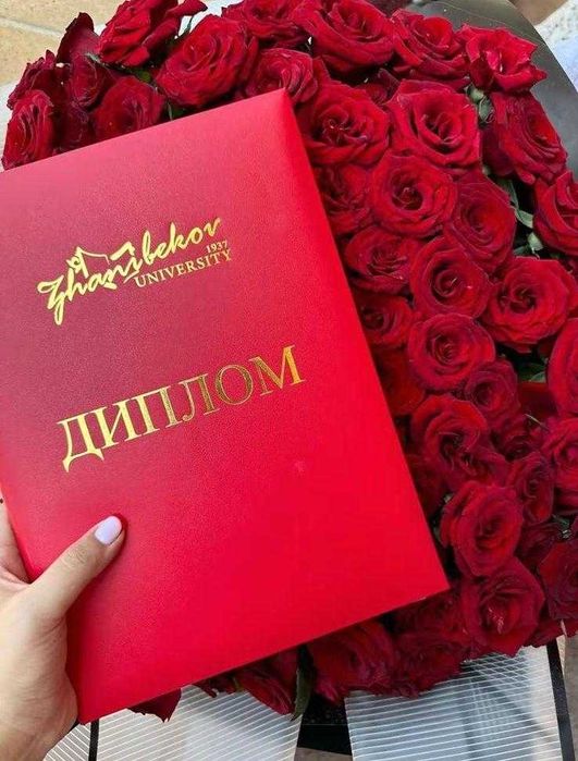 Юж Казахстанский пед университет жанибекова диплом diploma юкпу