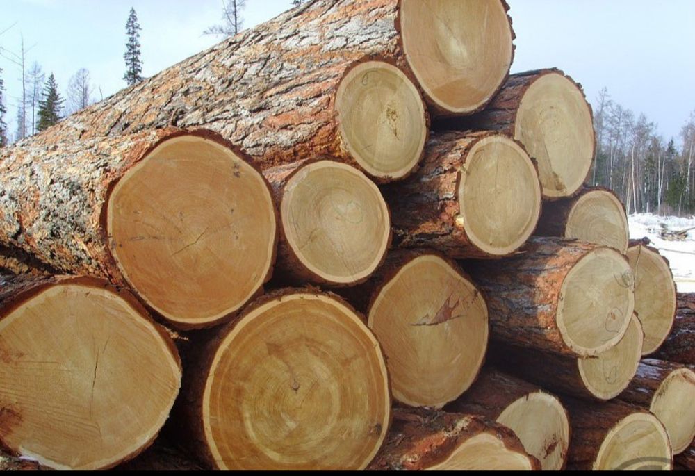 Терасная доска из пиломатериала.