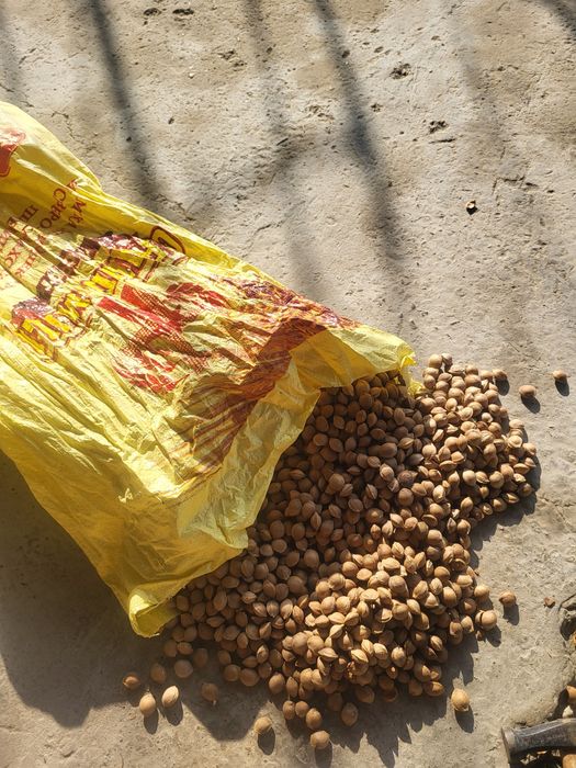 Mayda oʻrik Danak sotiladi!