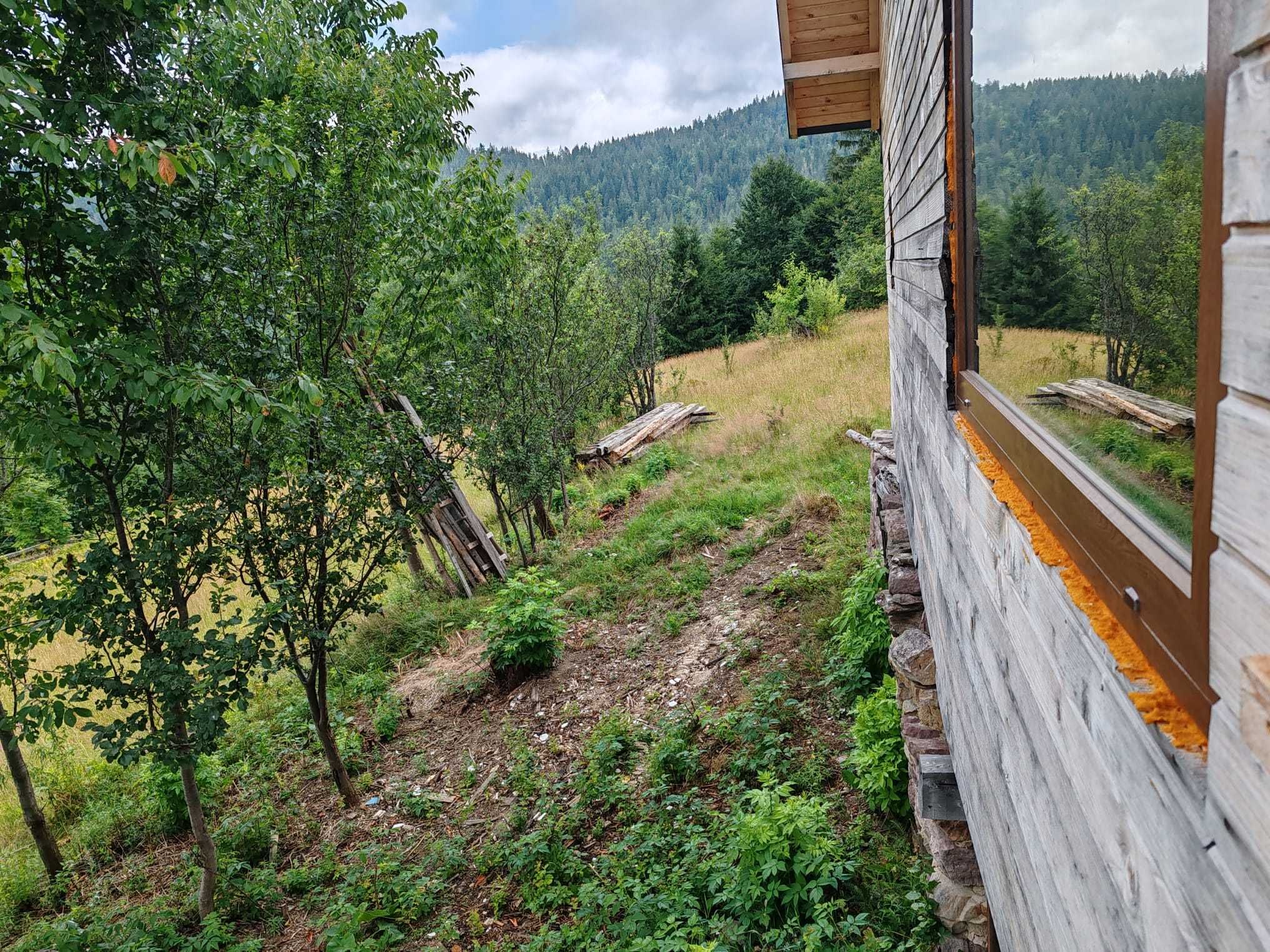 De Vânzare - În Munții Apuseni, Casă + Teren intravilan 15.000 mp