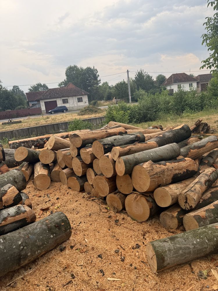 ‼️Comercialzăm lemne de foc la cele mai mici prețurii‼️