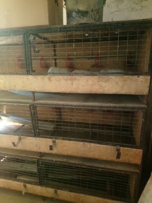 Продам брудер для бройлеров