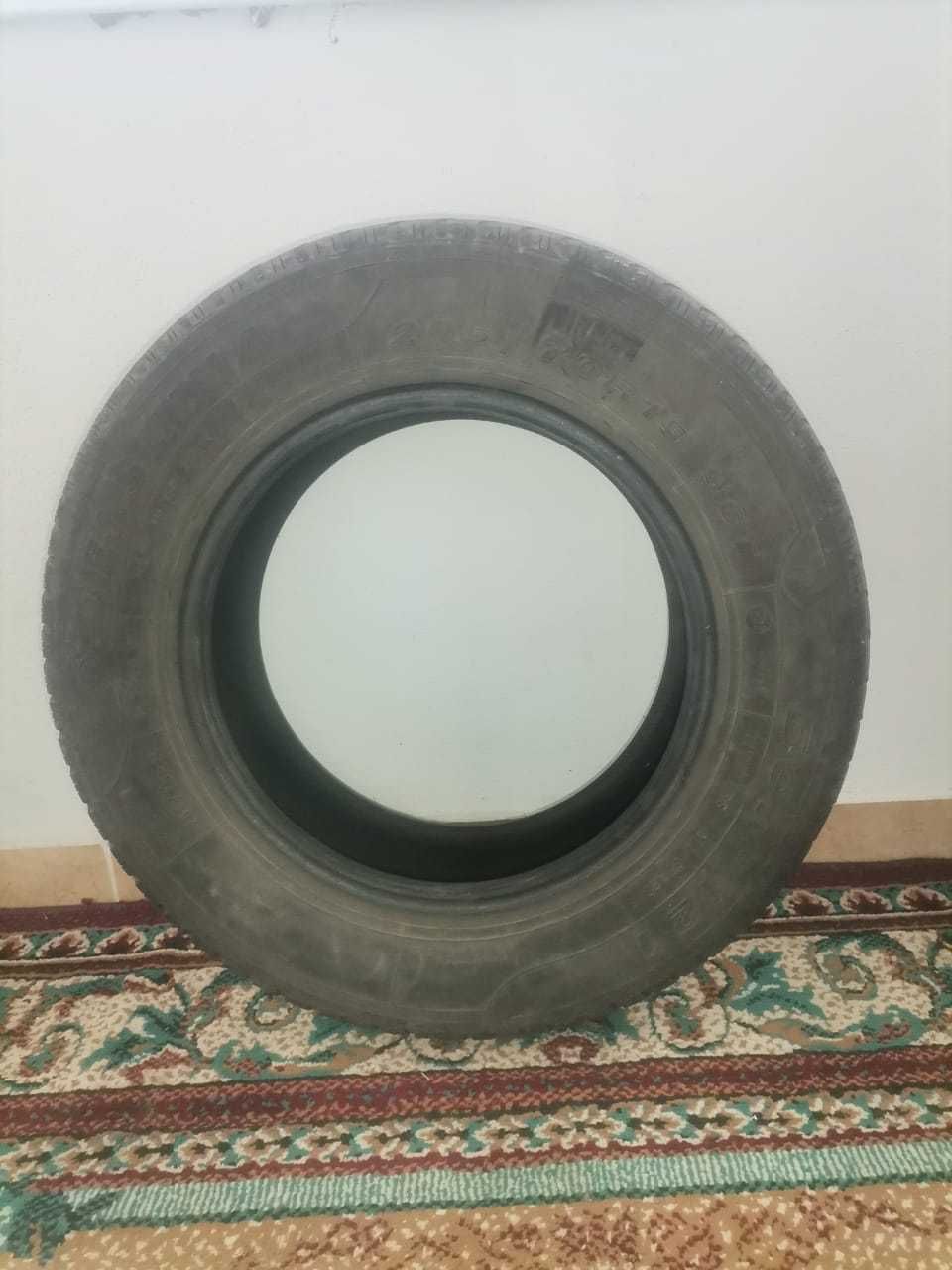 шины BELSHINA 205/65R15