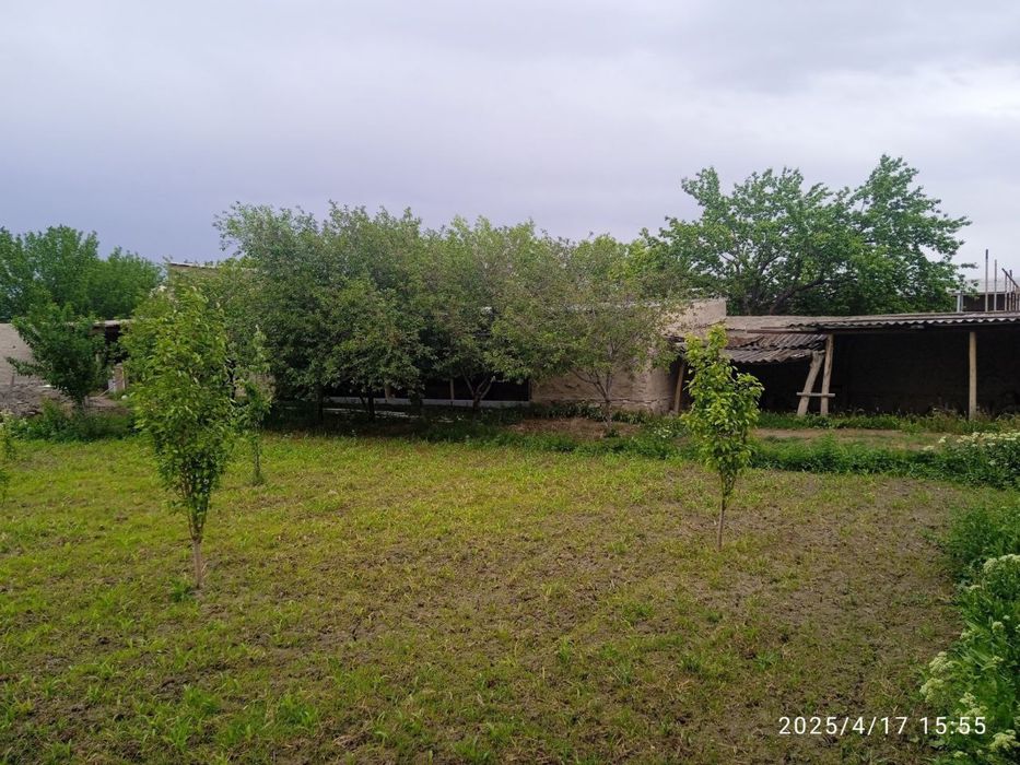 Навбахор тумани, Гулистон махалласида уй сотилади.