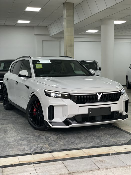 Voyah free apollo tech 318 full