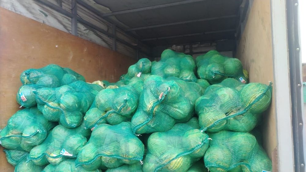 капуста на засолку картошка лук на хранение