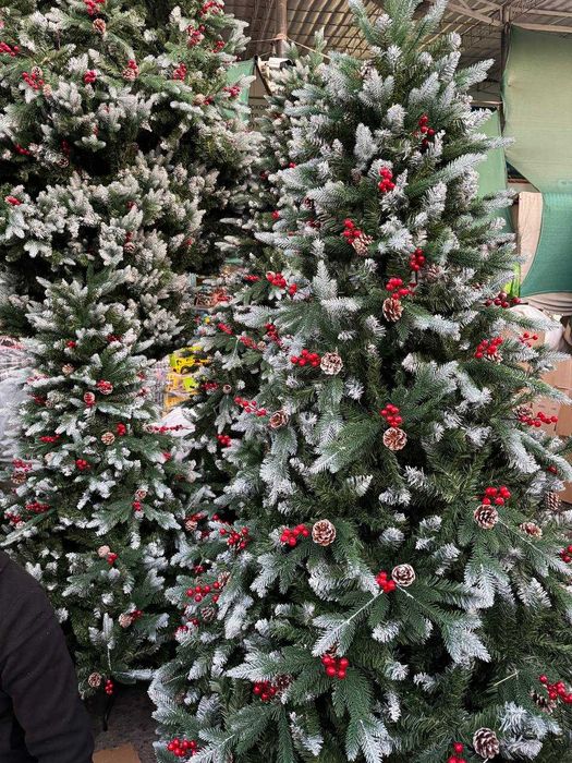 Archalar 50smdan 5metrgacha! Ёлки от 50см до 5метр! Елки