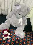 Teddy teddi yumshoq katta ayiq sovgʻa uchun zoʻr tanlov