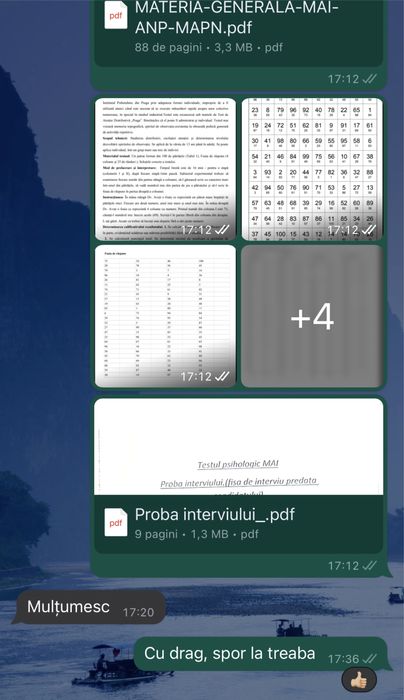 Teste psihologice MAI/MAPN/ANP/SGP