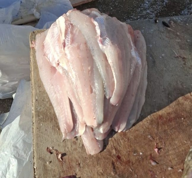 Филе, рыба судак