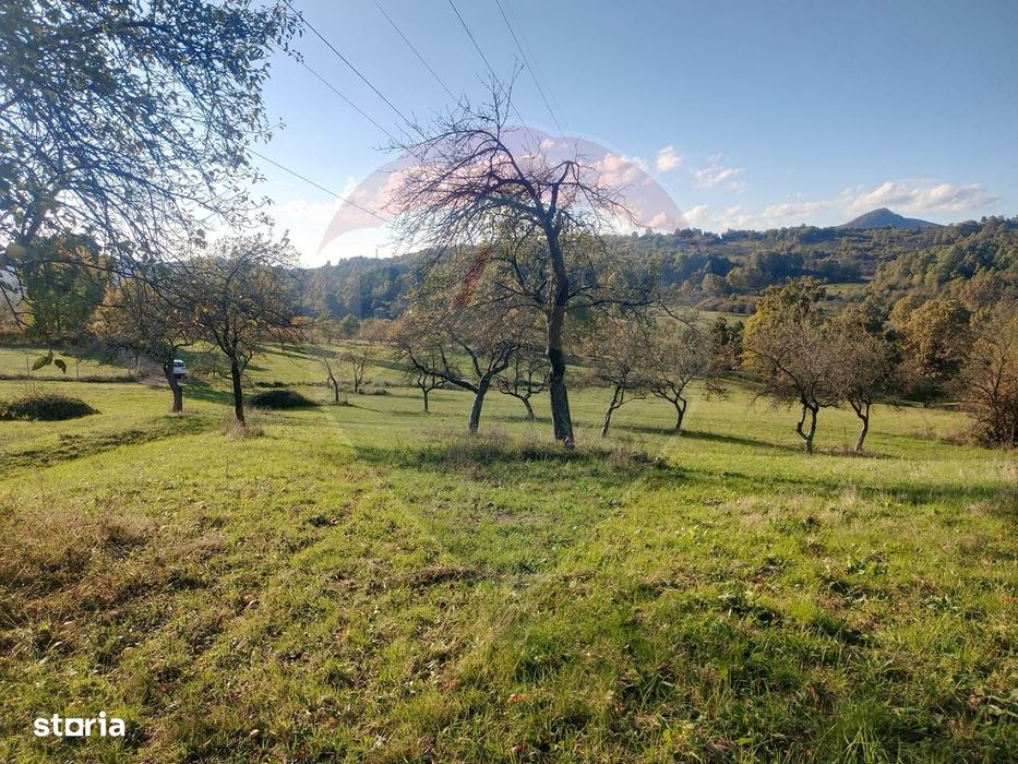 Teren zona superba Șișești