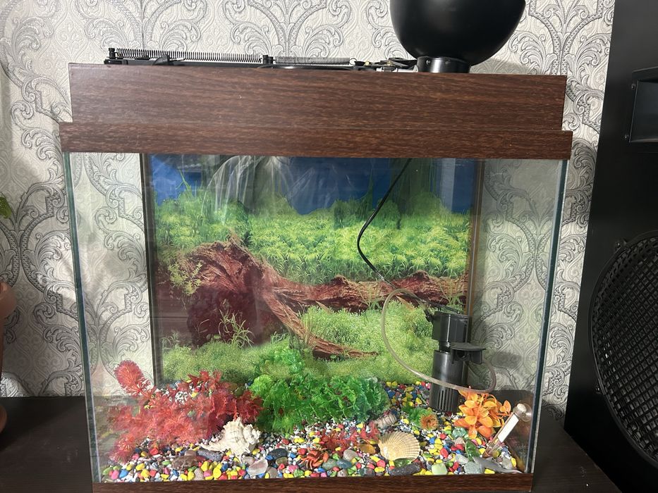 Аквариум в полном сборе