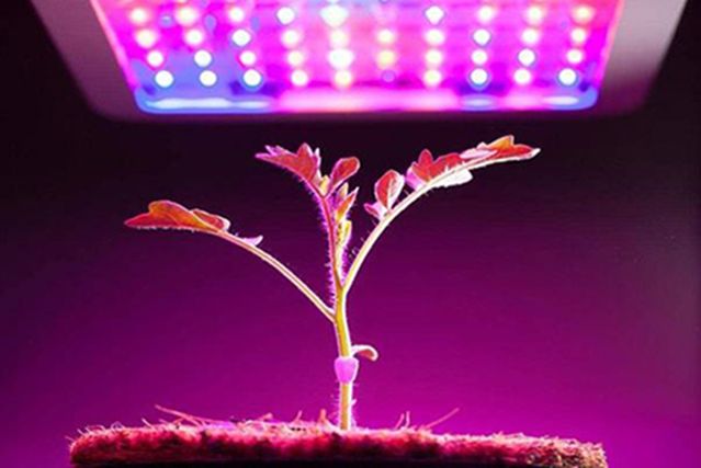 130 W и другие LED матрицы ФИТО-ЛАМПЫ свето-диоды для растений рассады