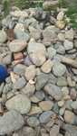 Donez pietre gratuit