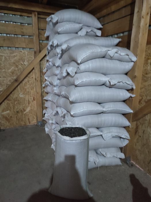 Vând floarea soarelui