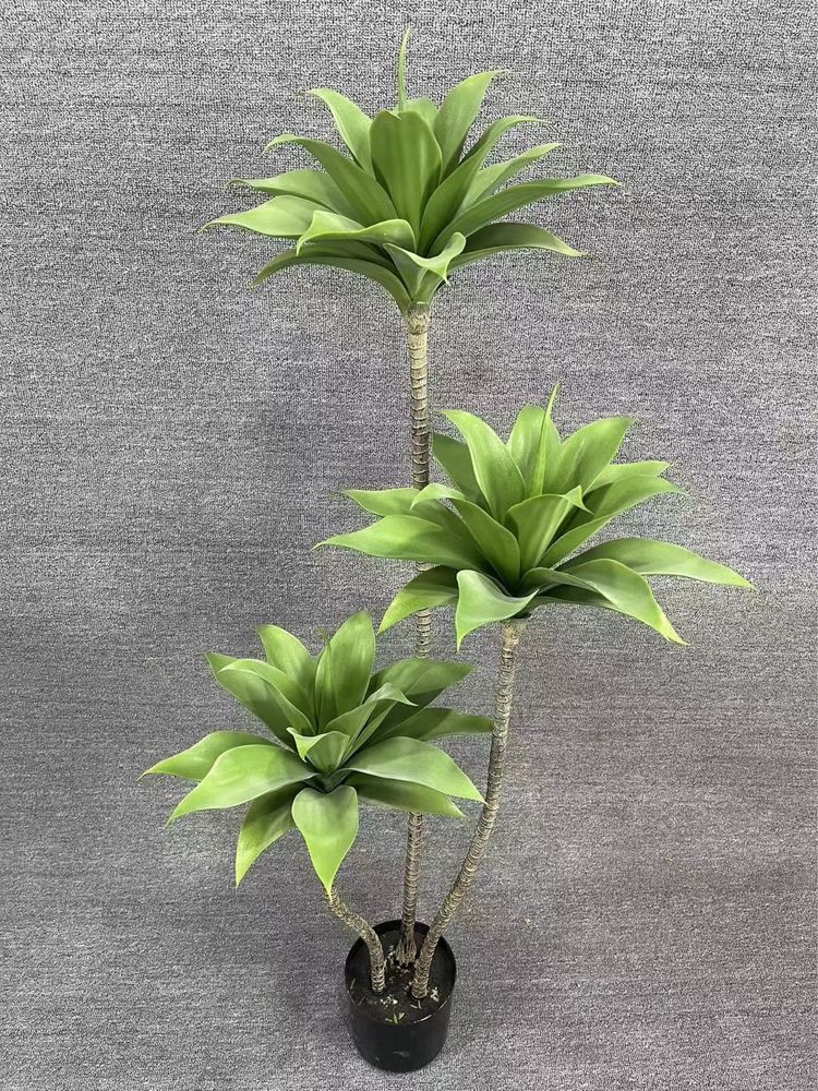 Decor gul va daraxtlar uchun buyurtmalar qabul qilamiz