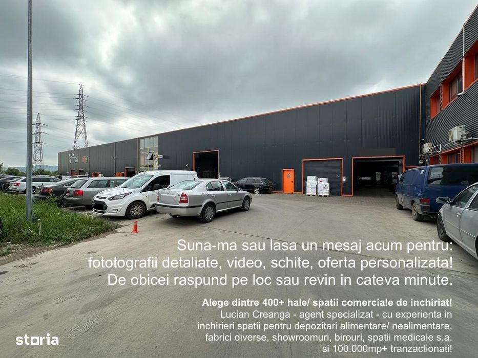 Hala de la 300mp la 595mp, zona Vel Pitar