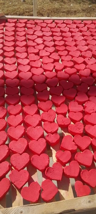 Qurt ishlab chiqaramiz