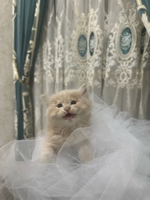 Мальчик красавчик