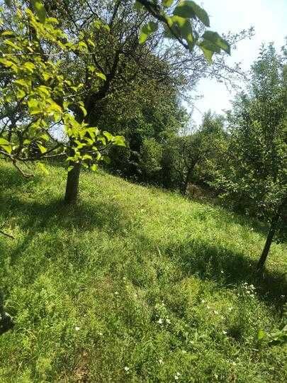 casa de vanzare Valea Leurzii judet Dambovita