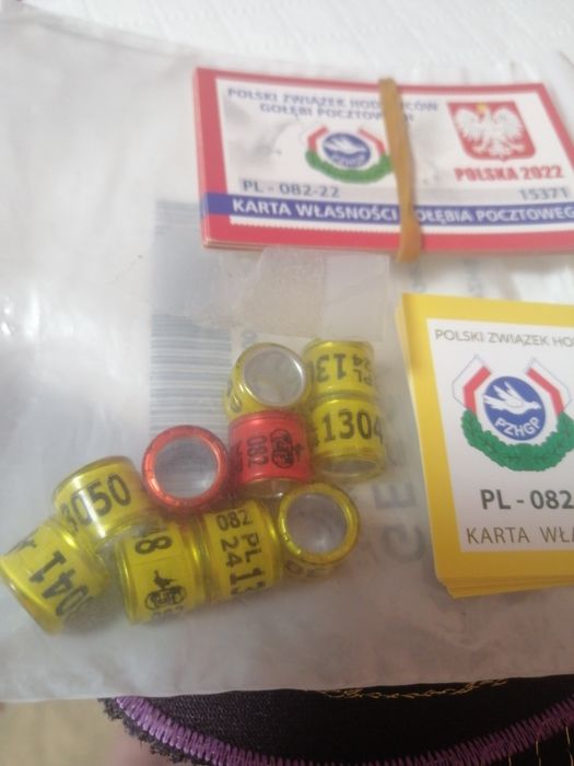 Vînd inele porumbei