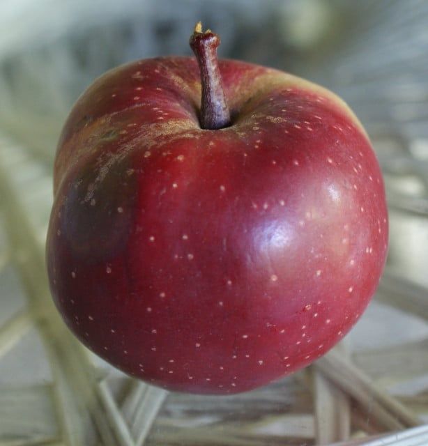 Pomi fructiferi deosebiti  Mar  Baia Marysa cu miezul rosu