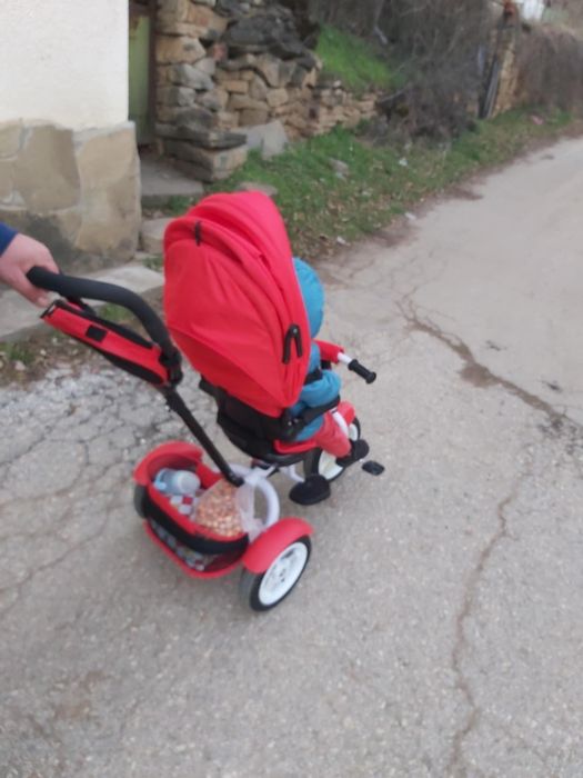 Триколка червен цвят