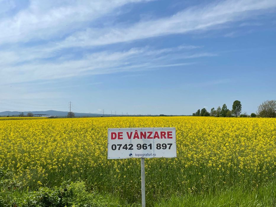 Terenuri Seini &imprejurimi, intravilan, extravilan, toate utilitățile