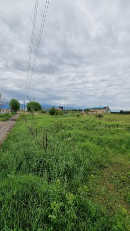 Участок в поселке Байтерек (Новоалексеевка)