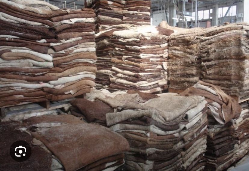 Қара малдың терісін қабылдаймын