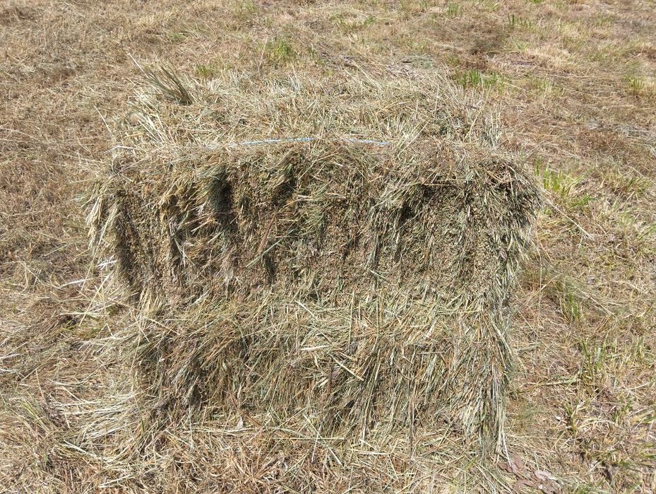 Baloți de fân și lucernă