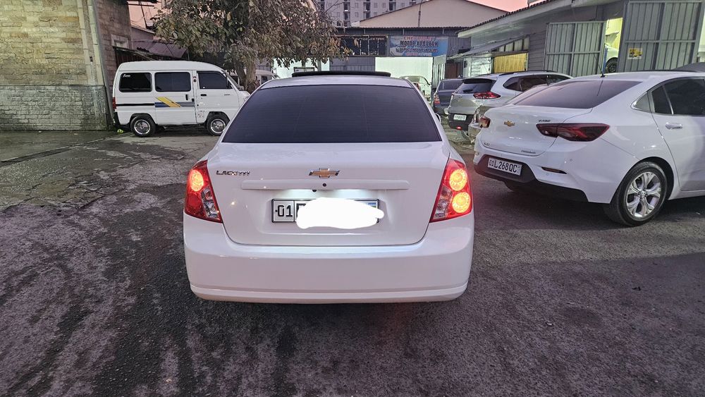 Arenda Jentra Elgant puls  2022