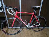 Cursiera Lapierre sensium 100