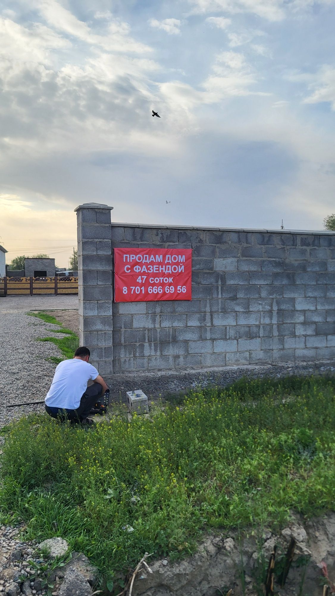 Продам дом с фазендой