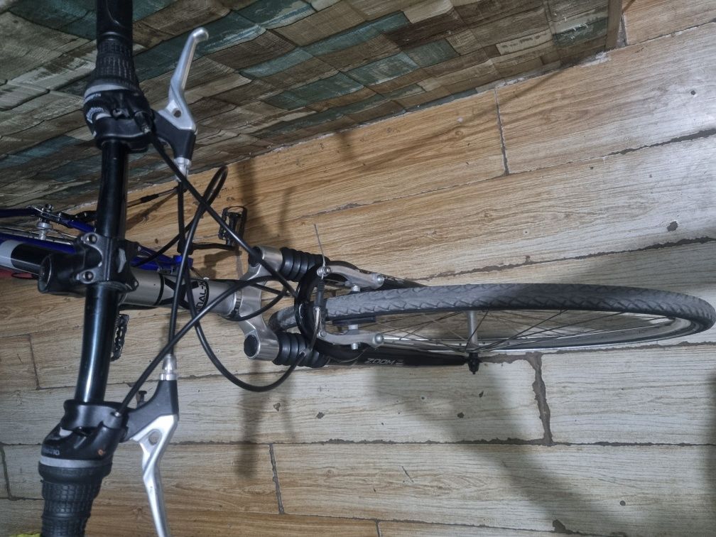 Velo professional