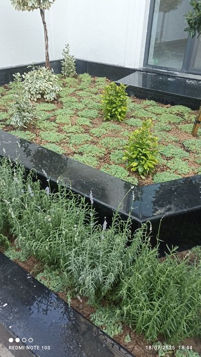 Chiroyli va sifatli dizayn