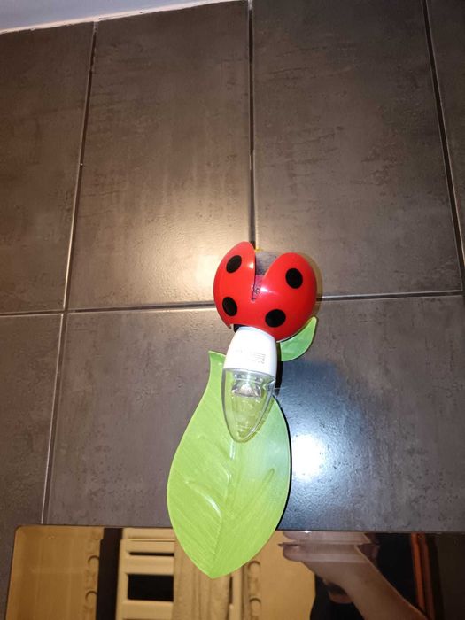 lustra si aplica pentru copii