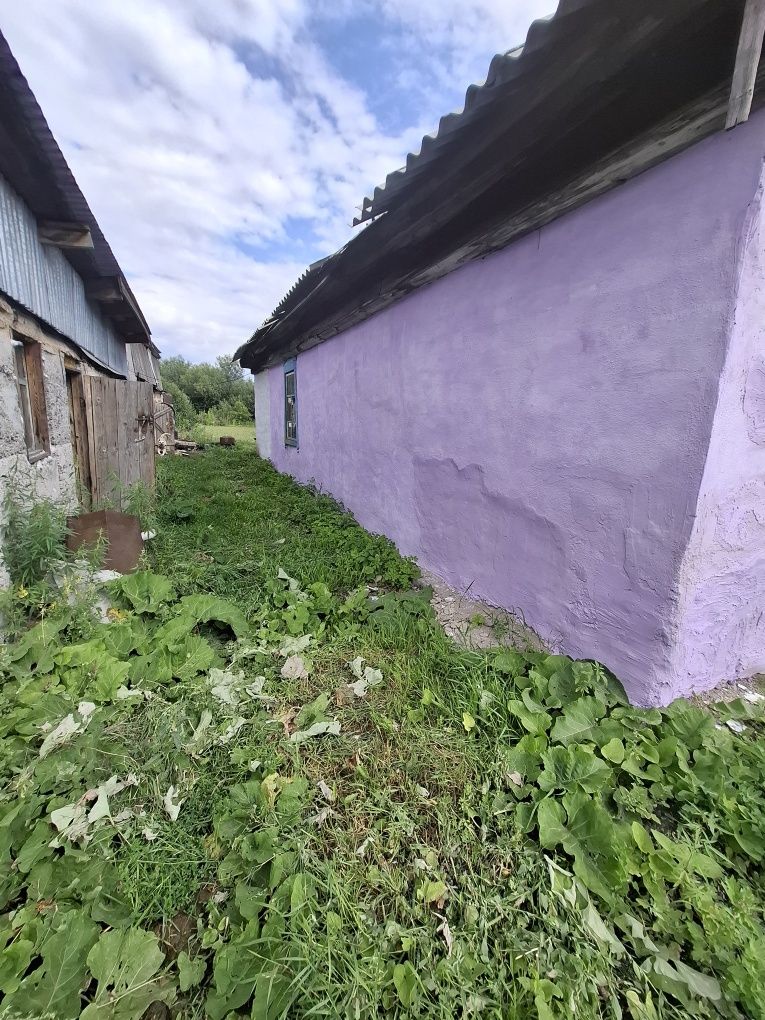Продам срочно дом в шемонайхе