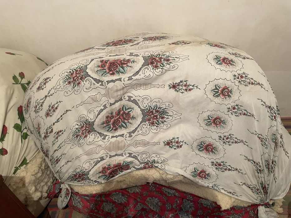 Титилган тозза пахта 100 кг