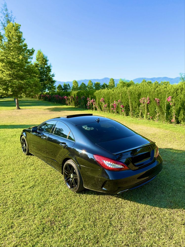 Mercedes cls350 FACE ПРУЖИНИ