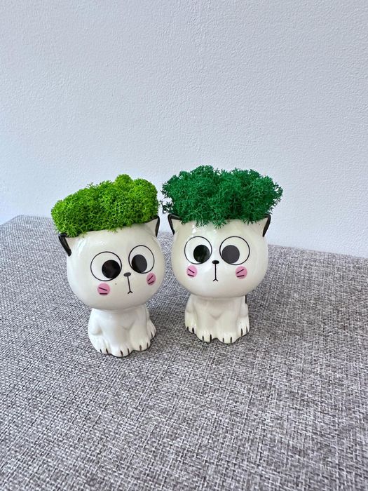 Cadou Figurine pisica licheni stabilizati