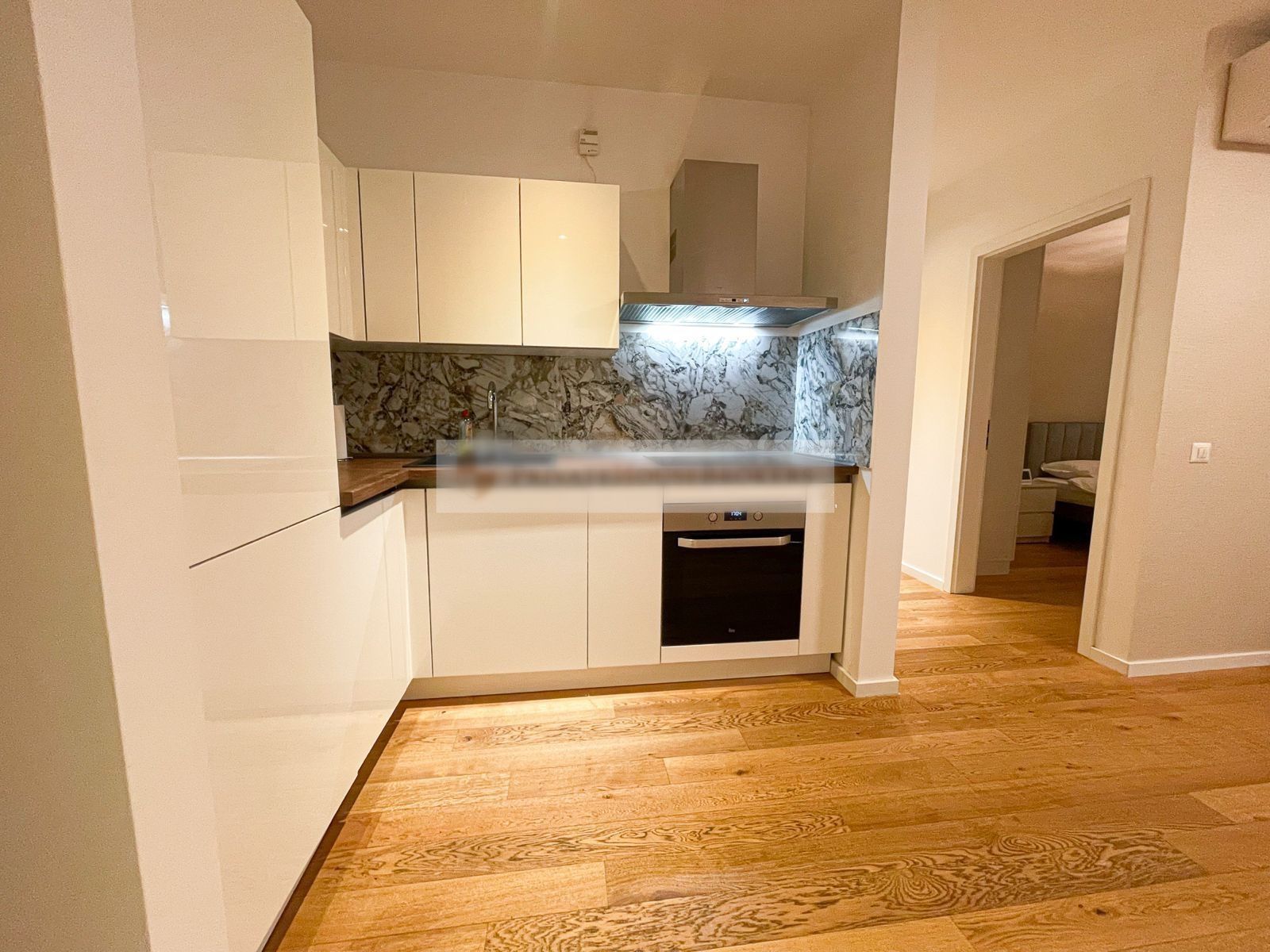 Apartament 2 camere Aviatiei Park, Herastrau