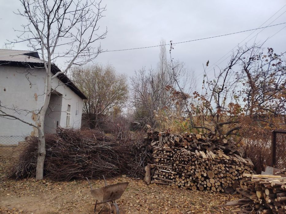 Утин сотилади хаммаси