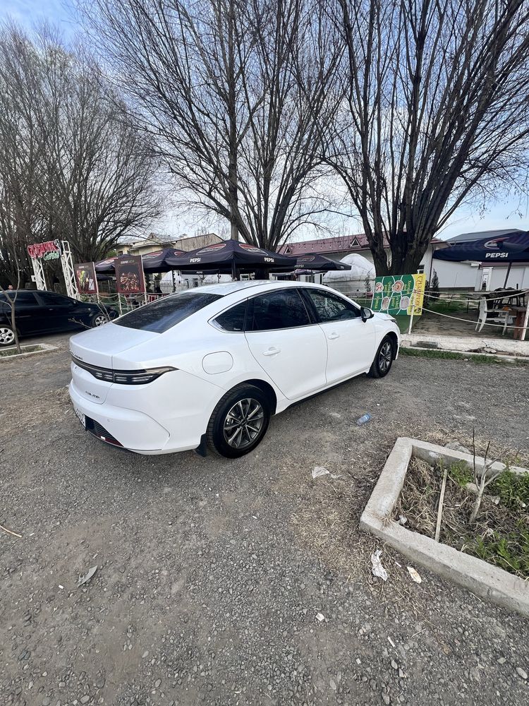 Byd chazor 2024 noyabr