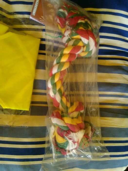 Accesorii câine jucărie și vesta